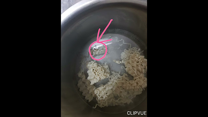 found insect in maggi noodles