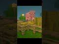 Bringing a Pig Home &amp; Welcoming a Baby Pig 🥹💗 #shortsminecraft #minecraft #minecraftpig #cute