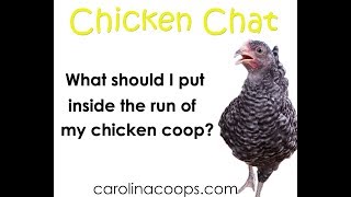 chicken carolina coops chat presents