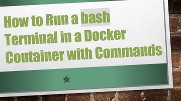 How to Run a bash Terminal in a Docker Container with Commands
