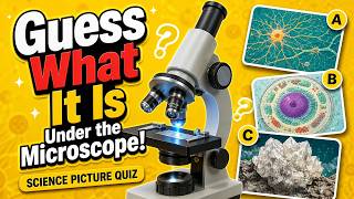 Guess What It Is Under the Microscope! | Science Picture Quiz