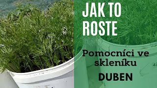 Pomocníci ve skleníku a jak to roste Duben