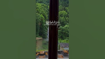 وعسى أن تكرهوا شيئا وهو خير لكم #قران_كريم #تلاوة_هادئة #راحة_نفسية