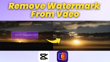 FREE!How to Remove TEXT from Video Using CapCut & HitPaw VikPea(Online & Offline)