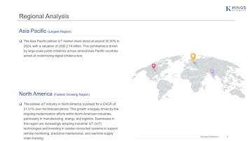 Cellular IoT Market