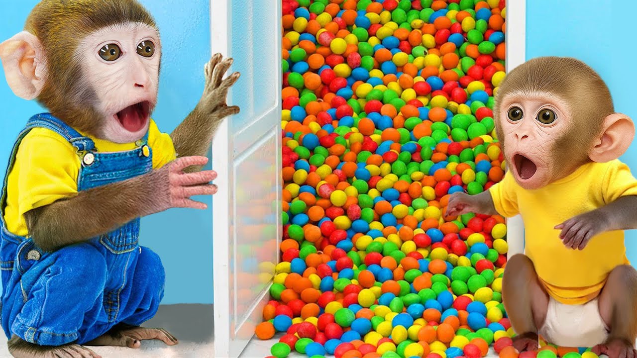 Mono BonBon y el monito comen dulces juntos y viven momentos adorables 🍬🐒 | MoMo Aventuras Esp