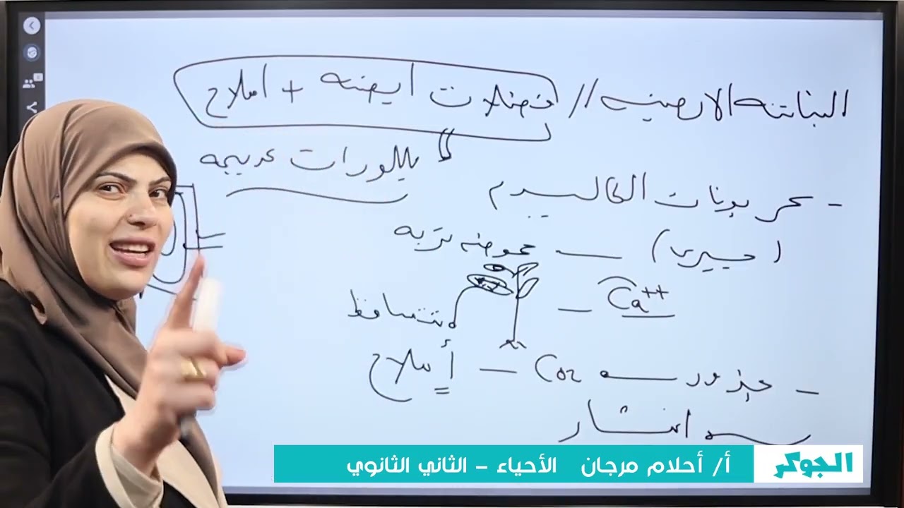 أحياء ٢ث الإخراج في النبات المس