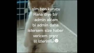 Ark Lar Simdi Karar Verdim Admin Lazim Sartlar Sabitte (Sesi Ben Yaptim)