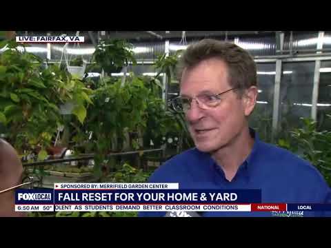 Merrifield Garden Center 6am hour on Fox 5 Local News