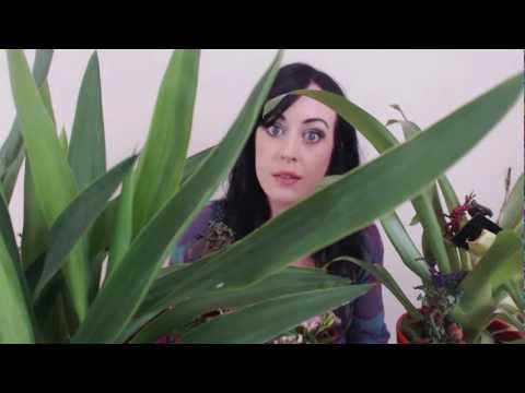 Warhammer Joey - The Lore of Athel Loren (Wood Elves)