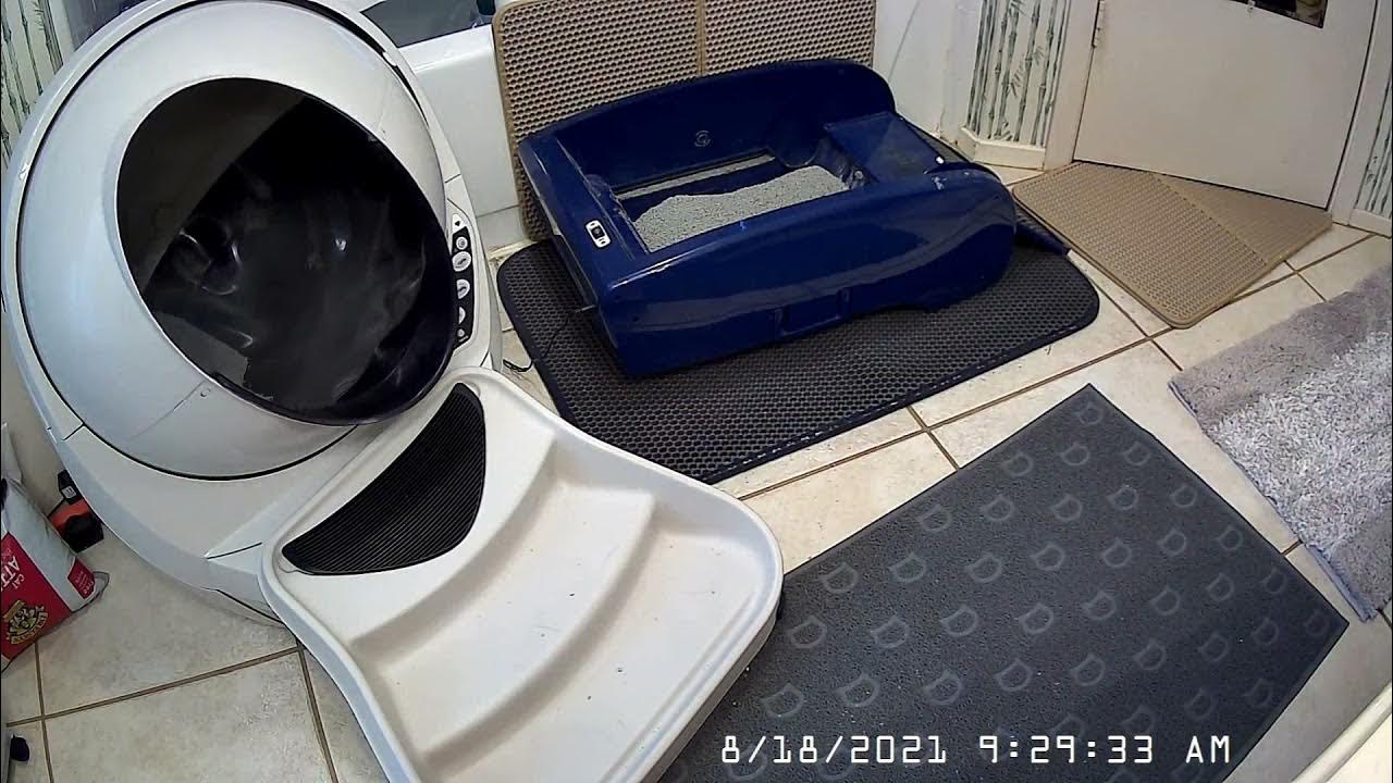 Litter Robot problems YouTube