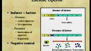 2.10. General Aspects of Bacterial Pathogenesis - Medical Microbiology