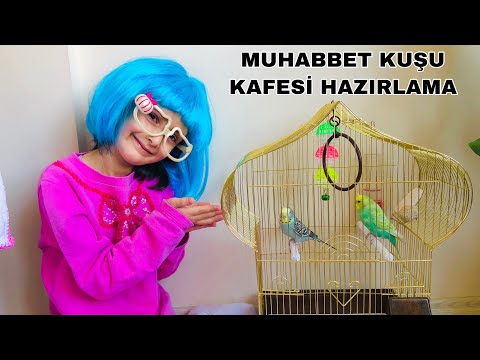 MUHABBET KUŞU BAKIMI