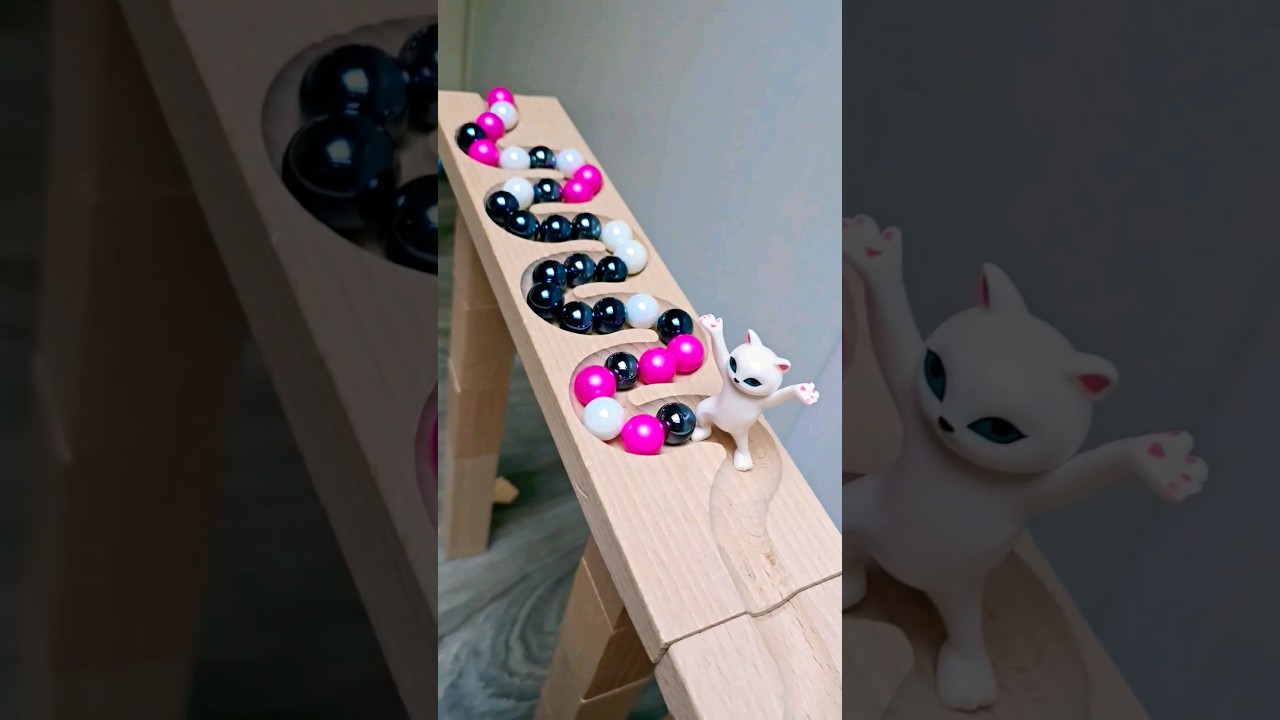 Epic ASMR Marble Run: The Most Relaxing Educational Experience! 
