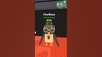 What Roblox Experts Don