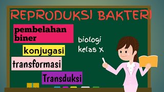 Pembelahan Biner, Konjugasi, Transformasi Dan Transduksi |  Reproduksi Bakteri Kelas 10
