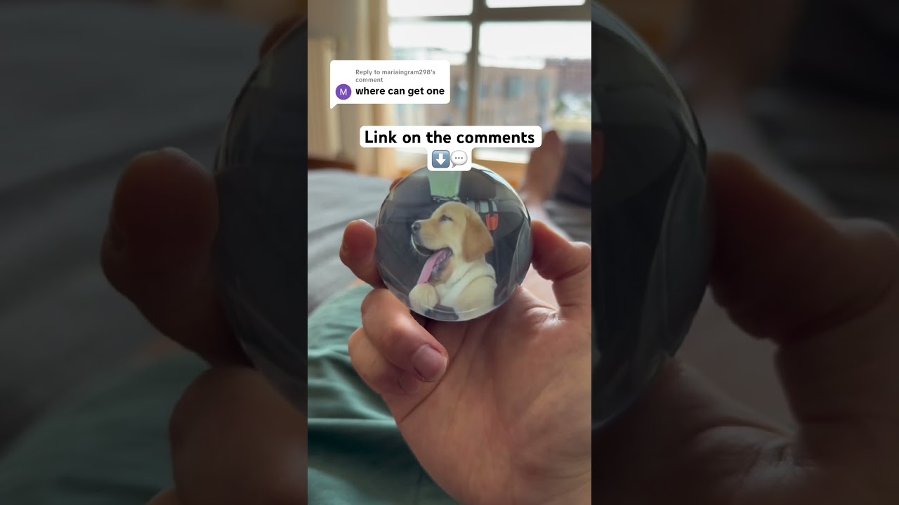 the perfect gift for dog lovers ❤️⬇️ 