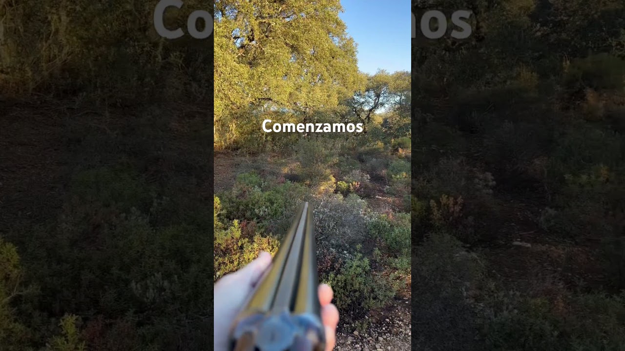 Una jornada más de caza de conejos
