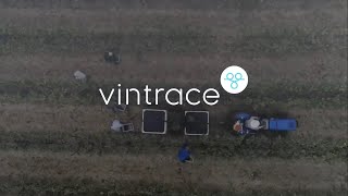 vintrace Winery Software in 2 minutes screenshot 2