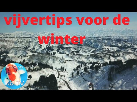 Video: Hoe Een Vijver Als Eigendom Te Registreren?