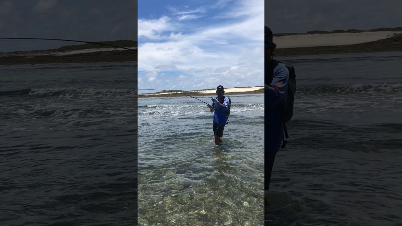 Fly Fishing GT in Astove, Seychelles