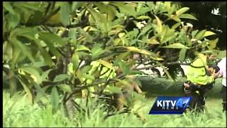 Waimano trail hikers found