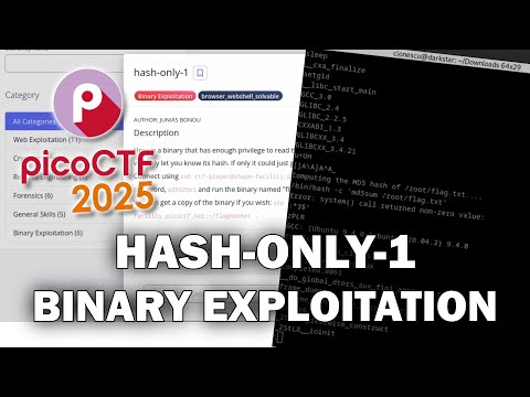picoCTF 2025 - Binary Exploitation - hash-only-1