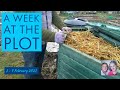 A Week at the Plot, 1 - 7 February 2021