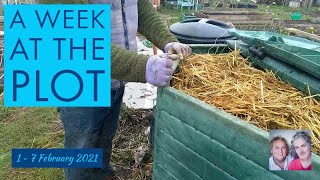A Week at the Plot, 1 - 7 February 2021