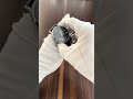 Orient RA-AG0432E Bambino Open Heart Classic Green Dial 40.5mm Automatic Wrist Watch #Orient #Watch