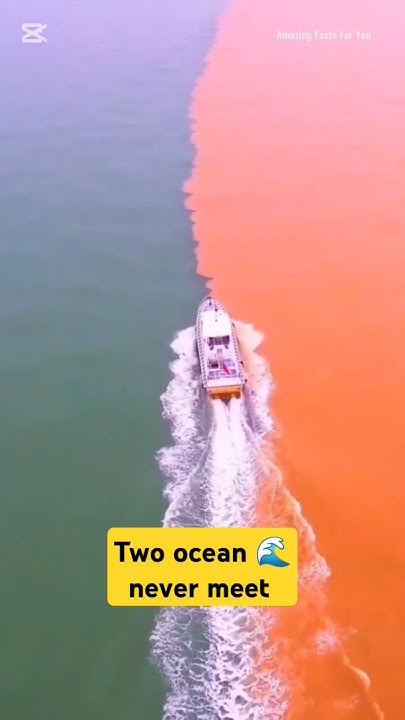 The Two Oceans That Don't Mix In Quran Two oceans 🌊Meet But Don't Mix | Quran Miracle | #islamic - YouTube