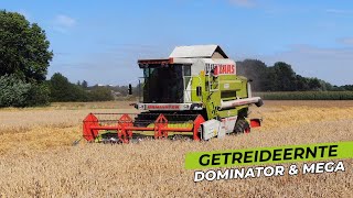 Getreideernte mit CLAAS Dominator 108 SL und CLAAS Mega 208