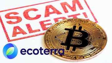 Was ECOTERRA another ICO SCAM... Uncovering RUGPULLS pt 3... WSM, AIDOGE, LAUNCHPAD XYZ