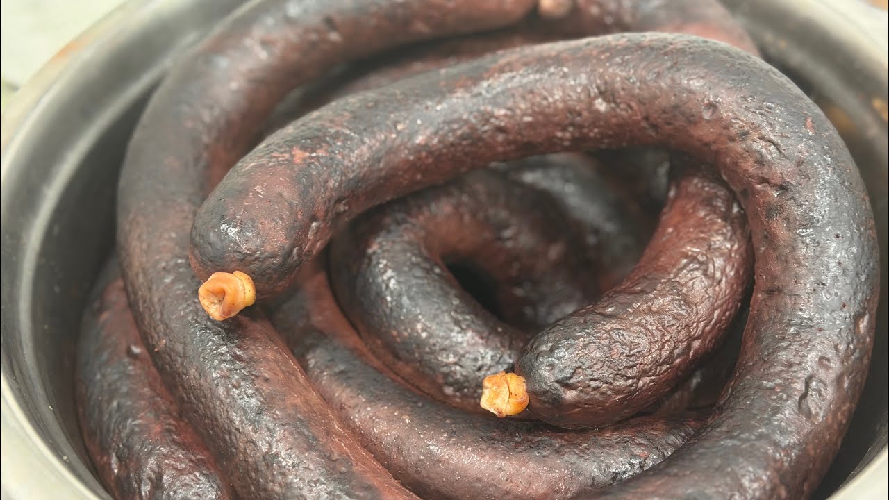 How to Prepare Tibetan Blood sausages called ༄ རྒྱུ་མ་། GYUMAA ?