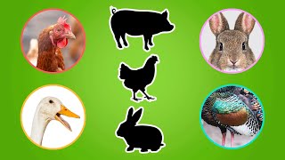 Guess The Farm Animal For Kids | Animal Guessing Quiz | Ultimate Guessing Games for Kids Part 3🐾 screenshot 2