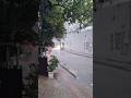 "Rain writes stories ... #shortsyoutube #fypシ゚viral #rainyafternoon