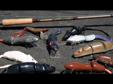 World's LARGEST Rat Lure Catches GIANT Bass (Lake Fishing) 