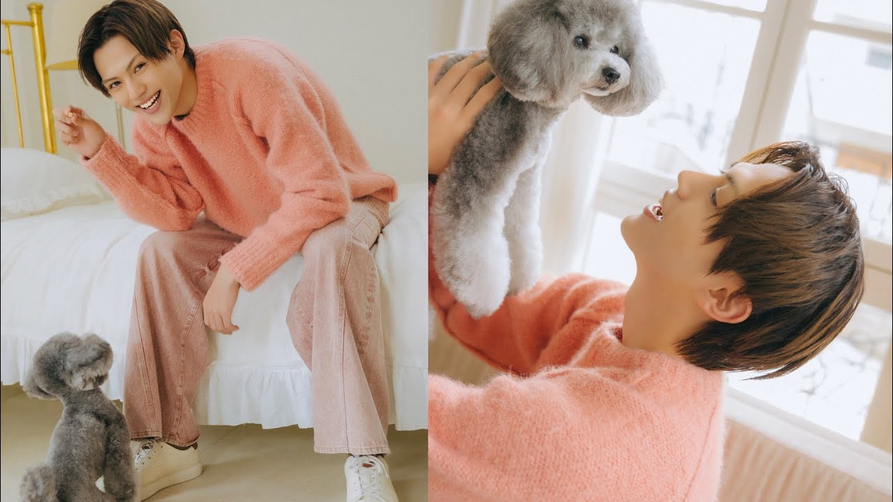 簡秀吉さんが遊びにきてくれました！（トイプードル｜月刊わんこ撮影