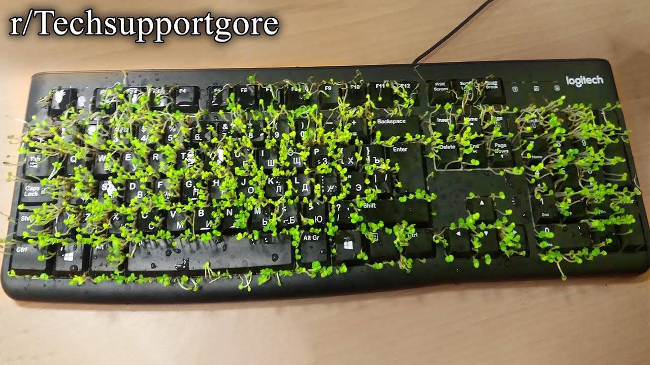 r/Techsupportgore | no no nO NO NO NO NO