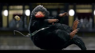 Niffler Bank Robbery Scene | Fantastic Beasts and Where to Find Them | Movie Clip HD