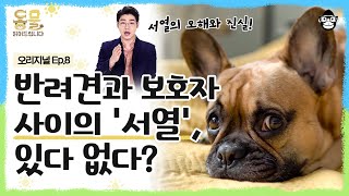 강아지가 유독 나만 싫어한다면? 반려견에게 서열1위가 아닌 좋은 리더가 되는 방법 알려드립니다 [동물 읽어드립니다 EP.08] | 수의사 설채현