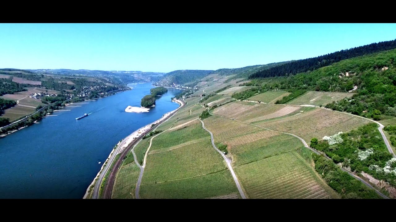 Lorcher Steillagen Winzer präsentieren Ihren Lieblingsplatz