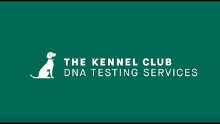 The Kennel Club DNA Testing Services by The Kennel Club 601 views 1 year ago 2 minutes, 8 seconds