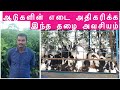 ஆடுகளின் எடை அதிகரிக்க இந்த தழை அவசியம் | Increase Goat weight