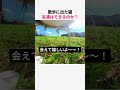 散歩に出た猫 友達はできるのか？w