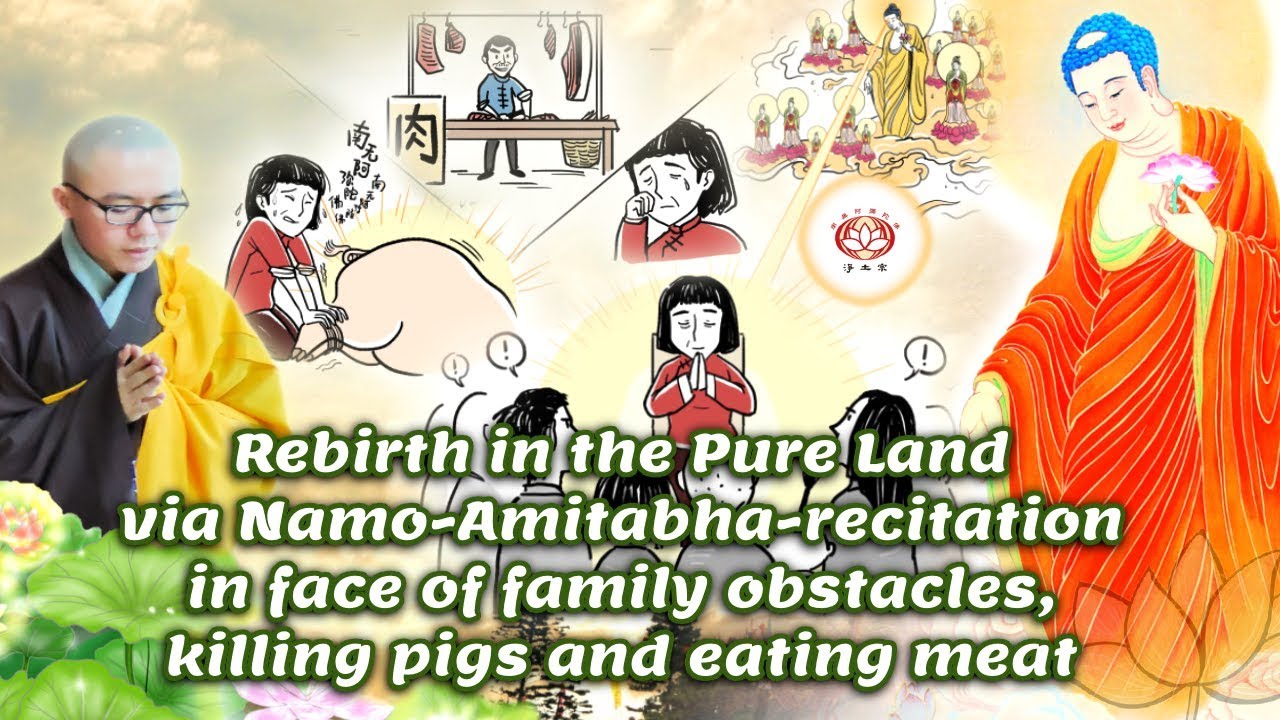 Rebirth in the Pure Land despite in face of obstacles of killing pigs