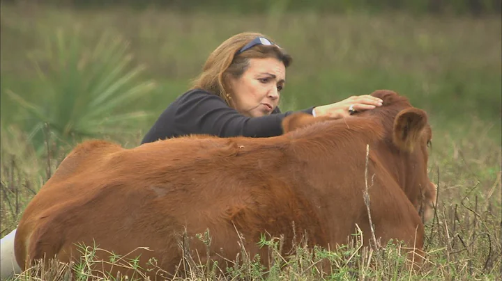 Rowdy Girl  Sanctuary (Texas Country Reporter)