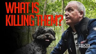 What Is Killing Them? | Danes Dyke In East Yorkshire Holds A Dark Secret.