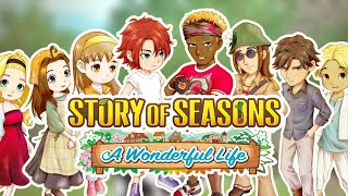 Bachelor and Bachelorette Marriage Guide | Story of Seasons A Wonderful Life
