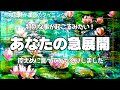 霊視タロット🌈あなたの急展開を鑑定しました。焦らなくて良いけど始まっちゃうね🙆✨みなさま思う存分に存在を発揮されて下さい🕊️🌏✨